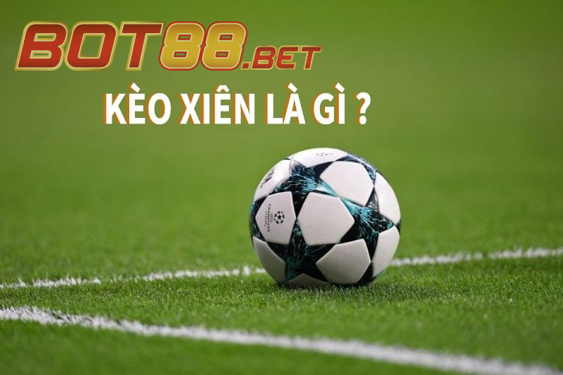 Bí quyết từ cao thủ dành cho người mới tại BOT88