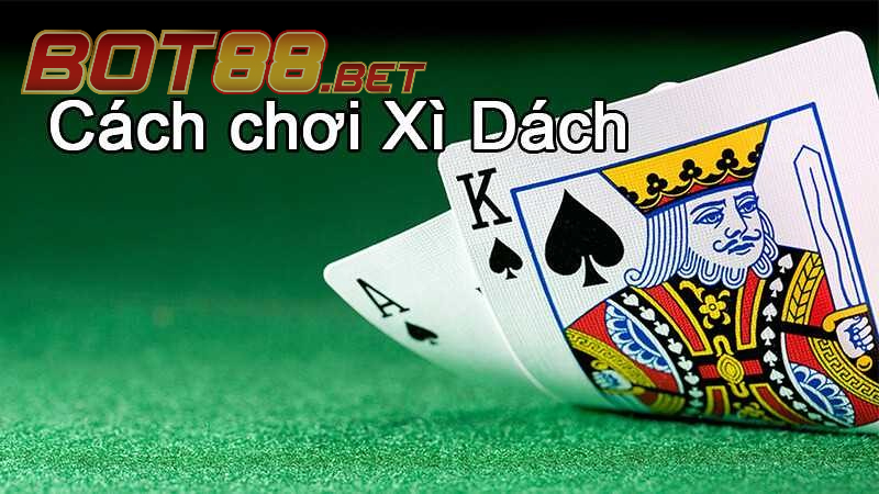 Hướng dẫn các bước tham gia chơi Xì Dách tại BOT88